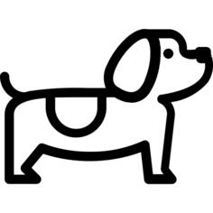 猎犬