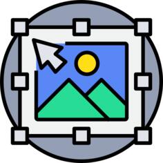 Vector