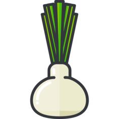 Fennel