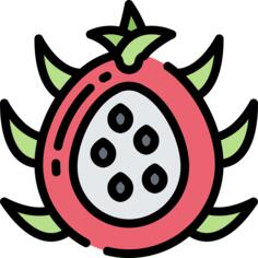 火龙果