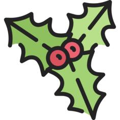 槲寄生