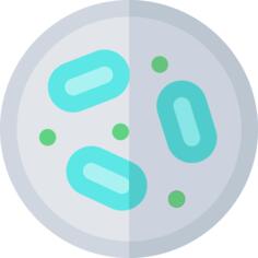Bacteria
