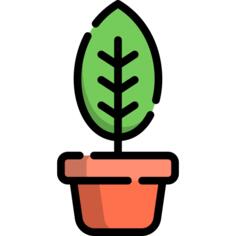花盆