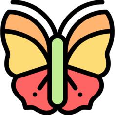 蝴蝶