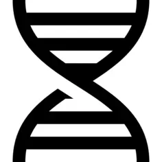 脱氧核糖核酸