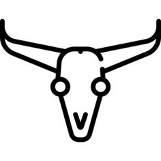 Skull