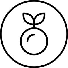 Beetroot