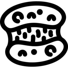 Mitosis