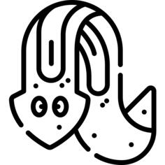 涡虫