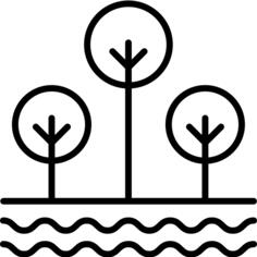 树
