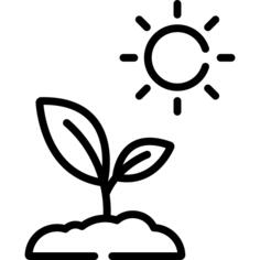 Sprout