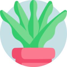 锅