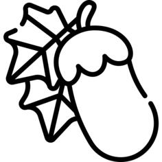 Eggplant