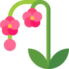 兰花