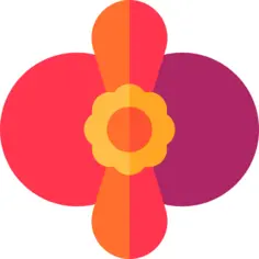 Begonia