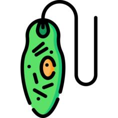 眼虫