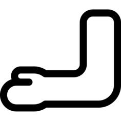 Arm