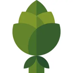 Artichoke