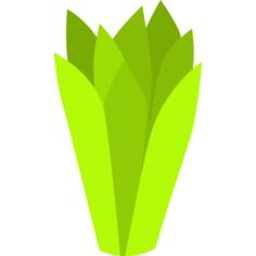 芦荟