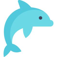 Dolphin