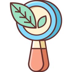 Organic