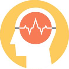 Brain