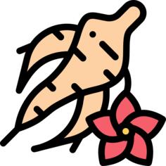 参