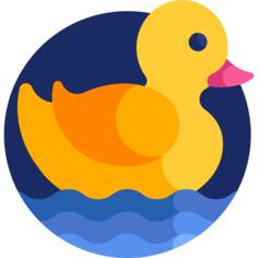 Rubber duck