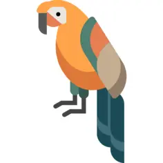 Parrot
