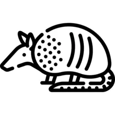 Armadillo