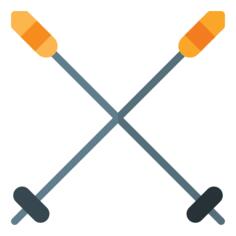Ski poles
