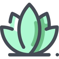 莲花