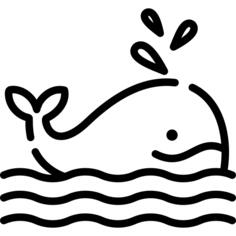Whale