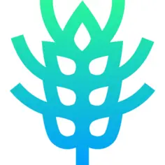 Gluten