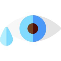 Eye