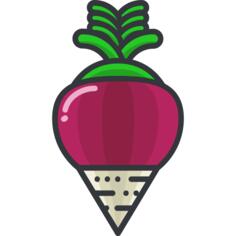 Beetroot