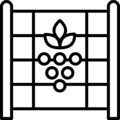 葡萄