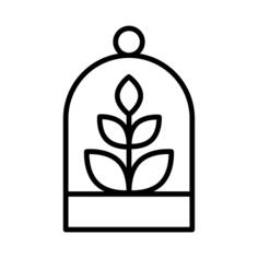 Terrarium