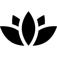 莲花