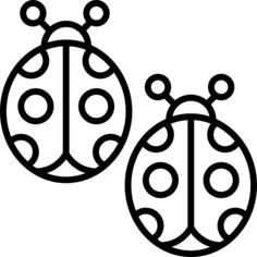 Ladybug