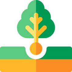 Plant a tree