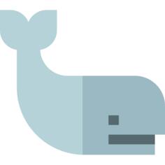 抹香鲸