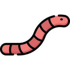 Worm