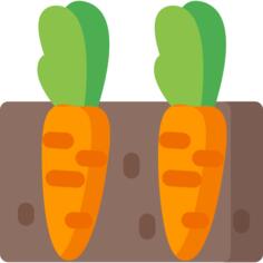 Carrots
