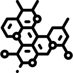 分子