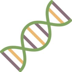 Dna