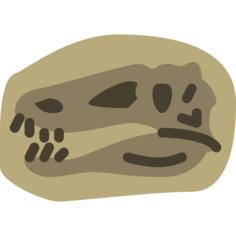 Fossil