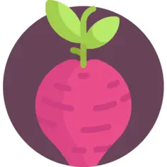Beet