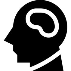 Brain