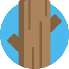 Trunk
